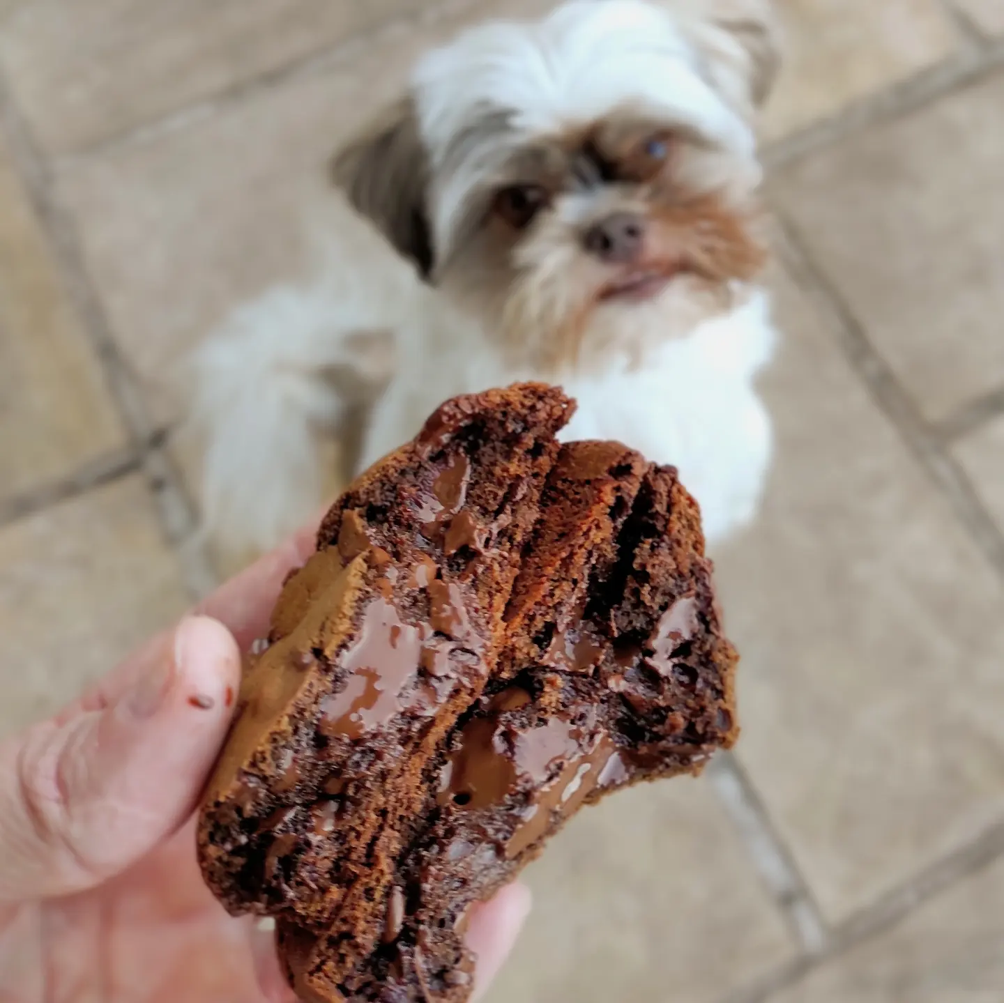 Caixa recheada de chocolates artesanais